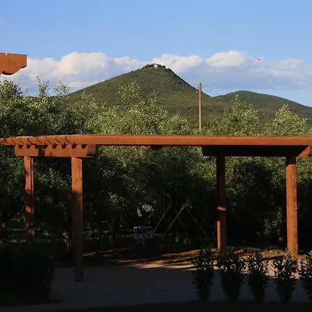 Farm stay Dallolivo Bolgheri