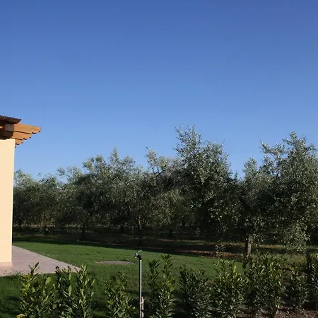 Feriegård Dallolivo Bolgheri