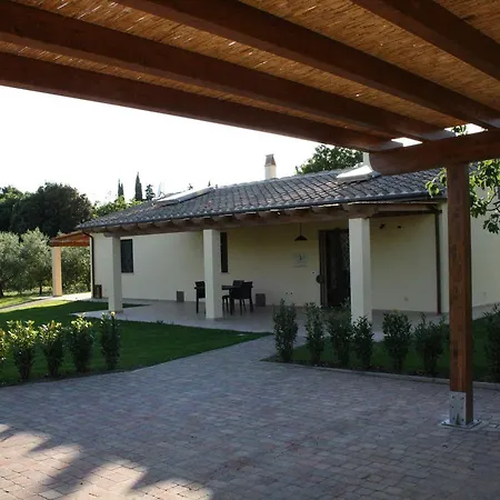 Dallolivo Feriegård Bolgheri
