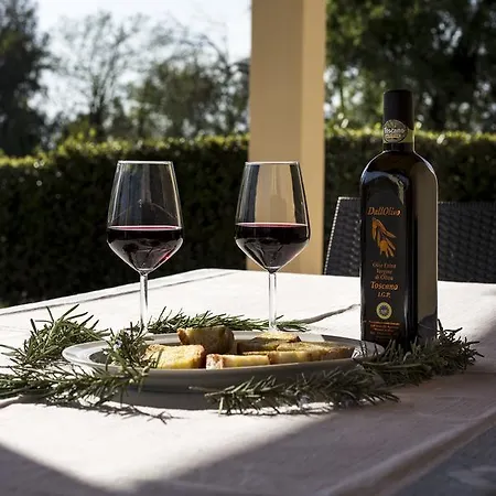 Dallolivo Feriegård Bolgheri