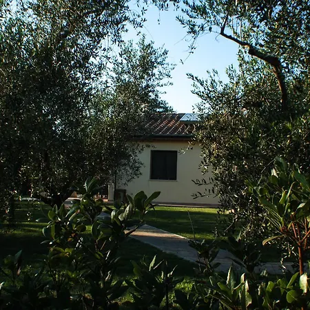 Dallolivo Vakantieboerderij