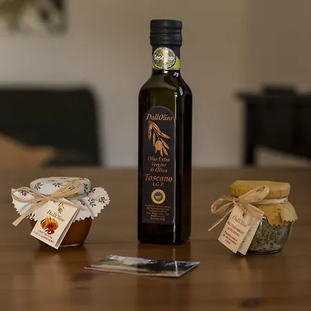 Dallolivo Feriegård Bolgheri