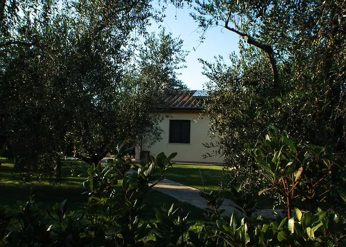 Dallolivo Vakantieboerderij